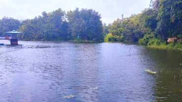 Foy’s Lake