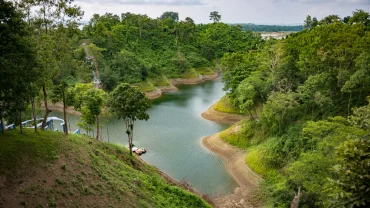 a lake in the middle of a lush green forest