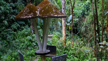 a couple of benches sitting in the middle of a forest