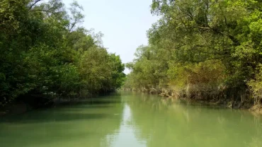 Char Kukrimukri