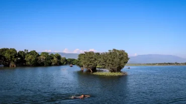 Tanguar Haor