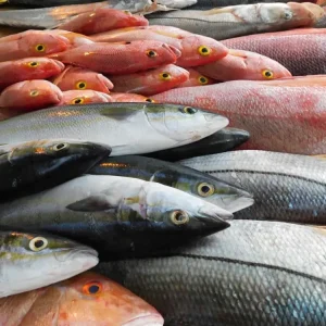 Fish Market