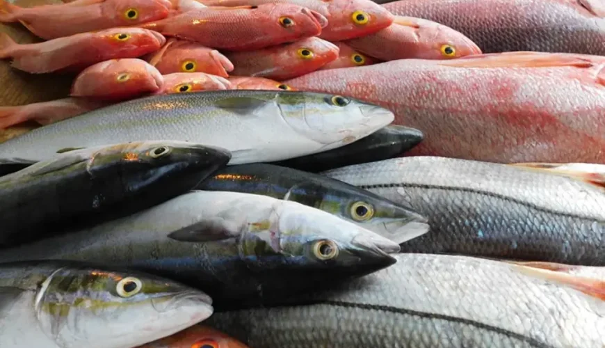Fish Market