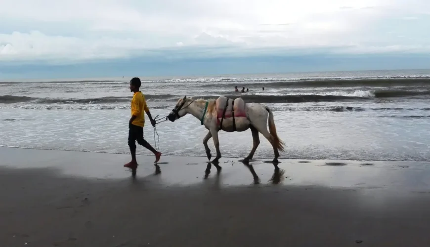Horse Riding