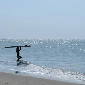 Surfing